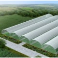 Greenhouse Designs: A Comprehensive Overview